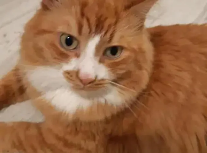 Quarto em Acomodações Particulares Cozy Private In A Three Free Parking Feel Like At Vilnius