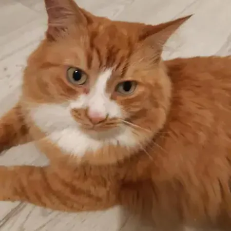 Проживання в сім'ї Cozy Private In A Three Free Parking Feel Like At Вільнюс